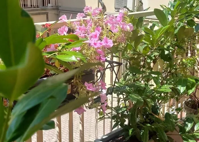 Bed and Breakfast Palazzo Novecento & Wellness Lecco